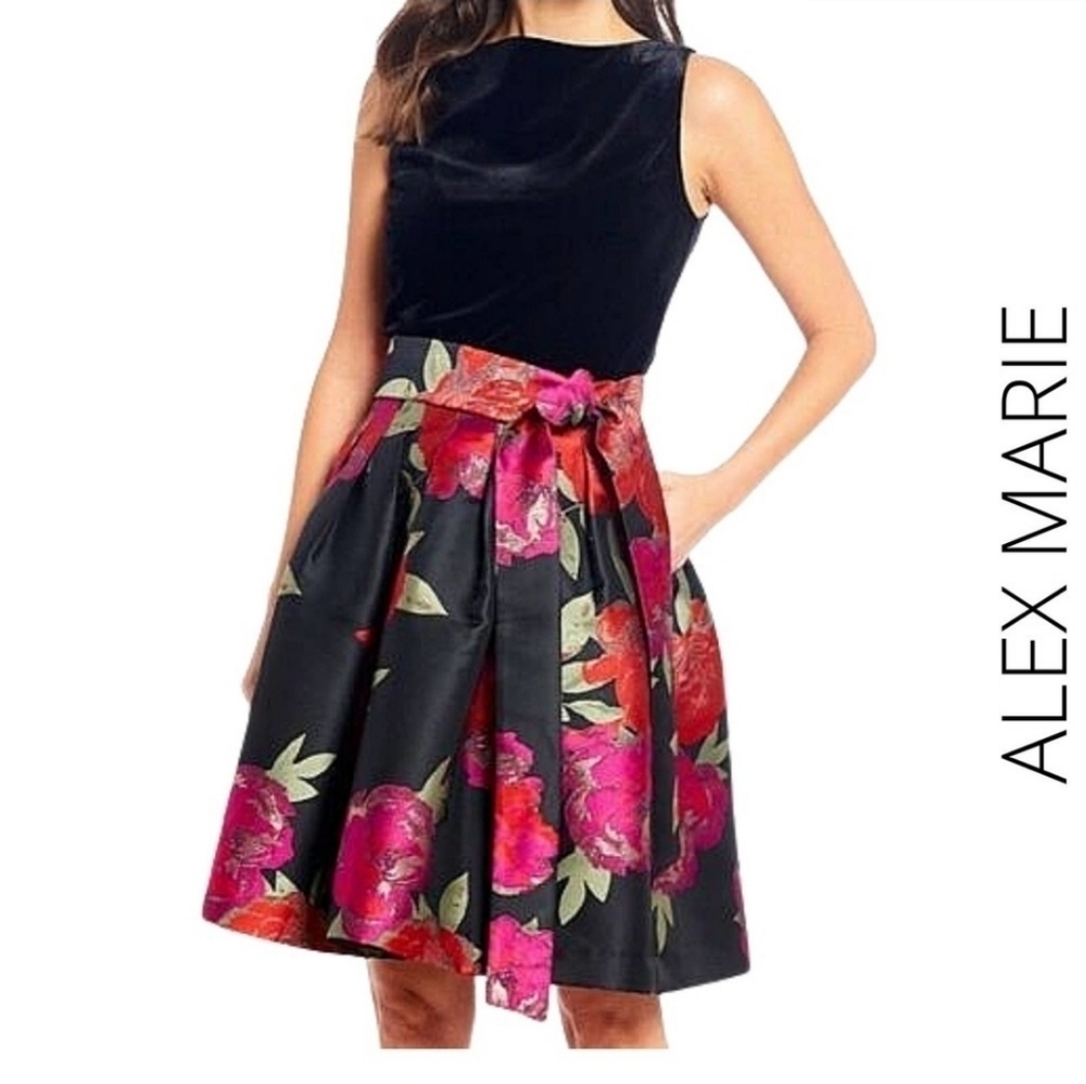 Alex Marie‎ Black Pink Allie Velvet Dress